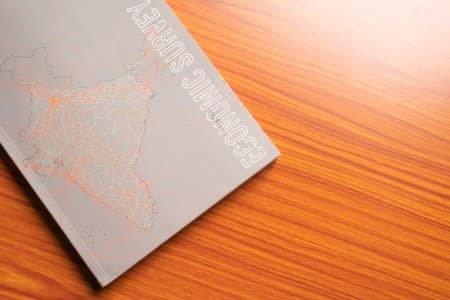 EconSurvey-Must-expedite-revision-of-CPI-GDP-data-introduce-PPI