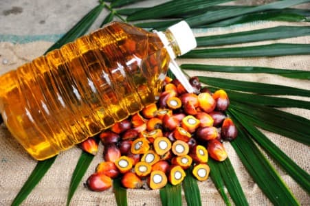 Strong-demand-CRISIL-Ratings-sees-Indian-palm-oil-refiners-revenue-up-10-37-in-FY25
