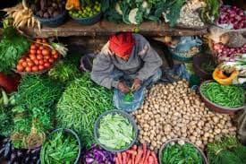 CRISIL-s-Sharma-sees-onion-potato-prices-firm-for-now