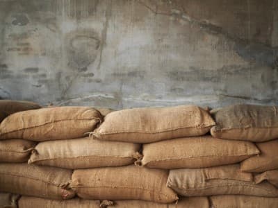 Govt-may-remove-40-37-import-duty-on-kabuli-chana-industry-source-says
