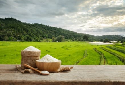 Easing-Restrictions-Govt-seen-waiving-20-37-export-duty-on-parboiled-rice-amid-ample-supply