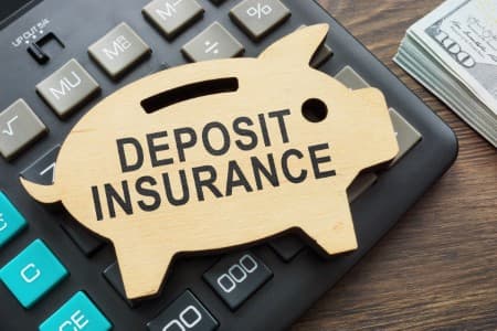 Risk-Management-Need-to-raise-deposit-insurance-coverage-periodically-says-RBI-Rao