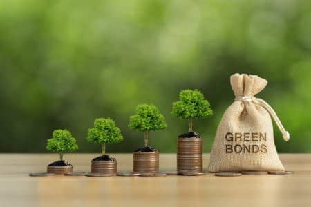 Tepid-Response-Govt-may-cut-green-bond-issuances-going-ahead-says-fin-min-source