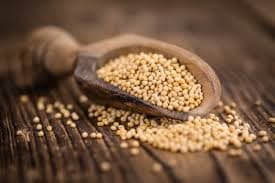 Taking-Stock-Jaipur-based-agency-pegs-mustard-seed-arrivals-at-600-000-tn-in-Aug