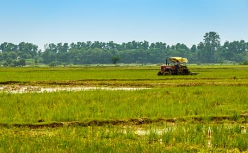 Farm-Sector-Schemes-Cabinet-to-discuss-2-farm-sector-schemes-worth-INR-1-tln-say-sources