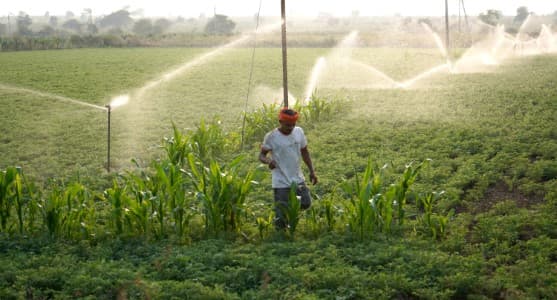 Kharif-Advance-Estimates-Govt-may-release-first-advance-estimate-for-kharif-2024-25-crops-early-Nov
