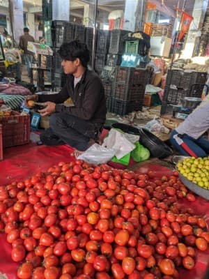 Price-Volatility-Govt-funds-28-innovators-to-build-solutions-to-curb-tomato-price-volatility