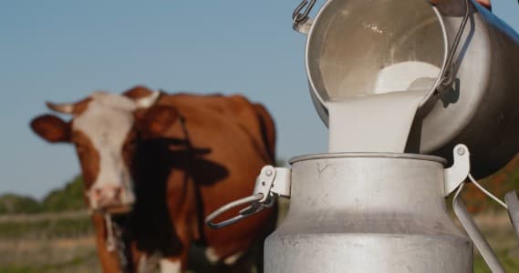 Leading-Producer-India-s-milk-output-grows-3-8-37-in-2023-24-albeit-at-slow-pace-says-govt-report