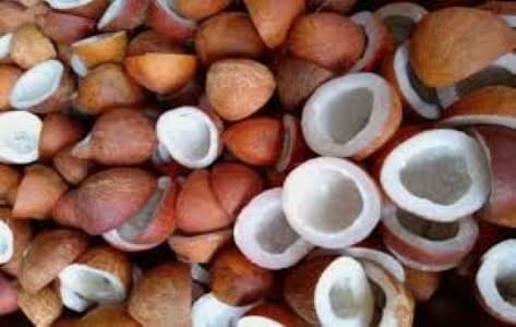 Remunerative-Returns-Cabinet-approves-hike-in-MSP-for-milling-ball-copra-for-2025-season