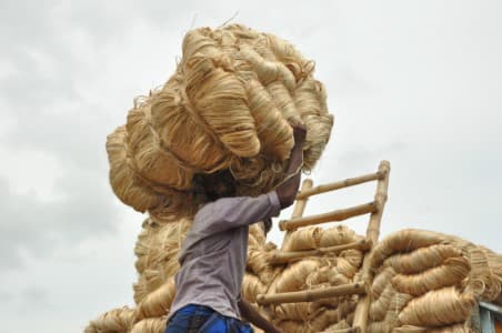 Cabinet-Meet-Govt-may-OK-jute-MSP-hike-by-over-INR-280-100-kg-for-2025-26-season-source