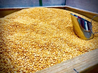 Free-Imports-In-talks-with-India-to-extend-duty-free-export-of-tur-urad-says-Myanmar