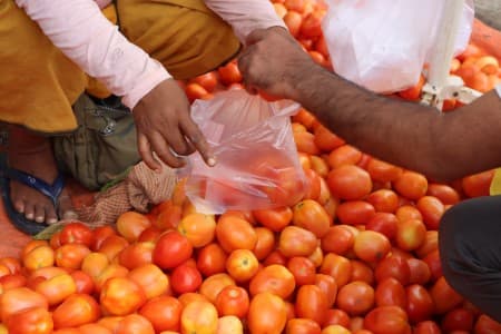 Tomato-Procurement-Govt-expanding-tomato-procurement-to-more-states-to-support-prices-Official