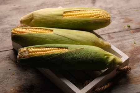 Dependence-on-corn-for-ethanol-sharpens-pitch-for-GM-seeds-import
