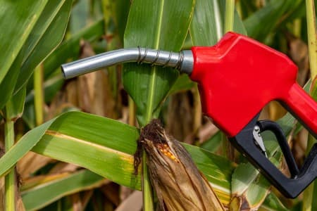 Ethanol-Blending-Oil-cos-ethanol-blending-18-6-37-Nov-Apr-no-decision-so-far-on-exceeding-20-37-aim