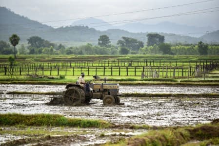 Crop-Report-Kharif-acreage-rises-11-5-37-on-year-to-26-2-mln-ha-as-of-Friday