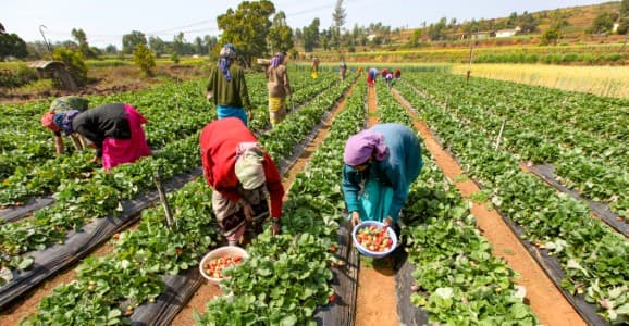 Data-Alert-June-CPI-AL-inflation-1-4-37-in-new-series-with-2019-as-base-year