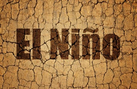 Australia-Met-dept-sees-neutral-El-Nino-Southern-Oscillation-till-December