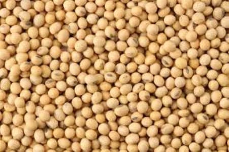 Soymeal-Trade-India-Sept-soymeal-exports-fall-nearly-17-37-on-yr-to-165-000-tn-says-SOPA