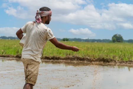 Stricter-Norms-Govt-to-soon-unveil-draft-Pesticide-Management-Bill-says-farm-secy