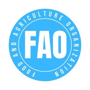 Food-Prices-FAO-Food-Price-Index-down-1-2-37-on-mo-in-Nov-on-fall-in-meat-dairy-sugar