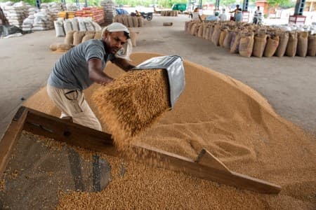 Govt-suspends-wheat-open-market-sales-from-Wednesday-say-FCI-officials