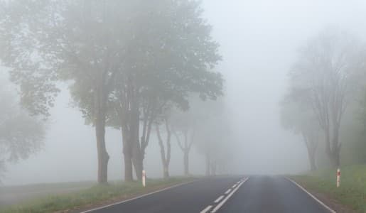 Weather-Forecast-IMD-forecasts-very-dense-fog-over-Uttar-Pradesh-Tue-Madhya-Pradesh-Tue-Wed