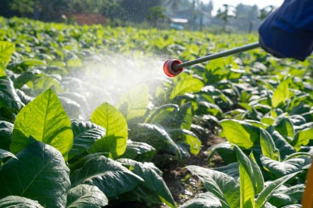 Pesticides-Bill-Govt-releases-draft-Pesticides-Management-Bill-for-public-feedback