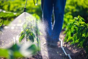 Regulatory-Framework-Crop-protection-body-urges-govt-to-check-unauthorised-pesticides-online-sales