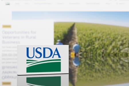 Downward-Revision-USDA-arm-cuts-2025-26-estimates-for-India-s-rapeseed-acreage-production
