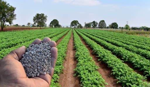 Fertiliser-Capacity-India-complex-fertiliser-capacity-to-rise-25-37-in-next-3-yrs-Crisil-Ratings