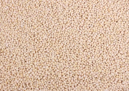 Pulses-Imports-India-s-urad-imports-surge-nearly-41-37-to-1-07-mln-tn-in-2025