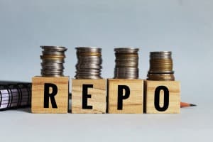 Economists-Opinion-Keep-repo-rate-unchanged-Jun-take-steps-to-attract-capital-economists-tell-RBI