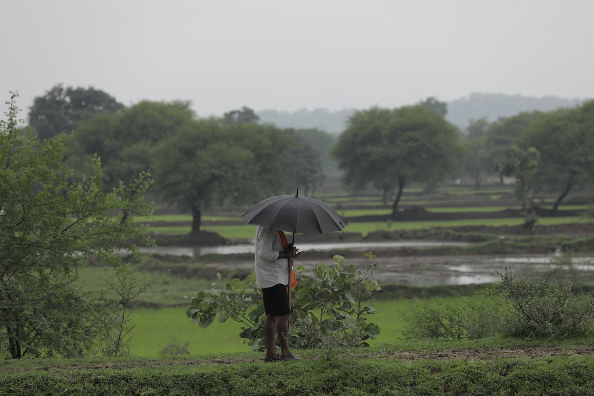 Helping-Hand-Closely-watching-impact-of-El-Nino-to-help-farmers-deal-with-it-says-Goyal