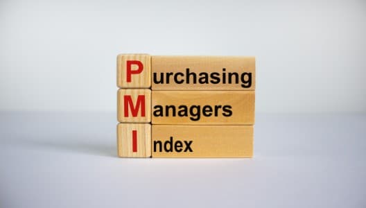 Data-Alert-India-June-pvt-sector-activity-hit-3-month-low-flash-PMI-shows