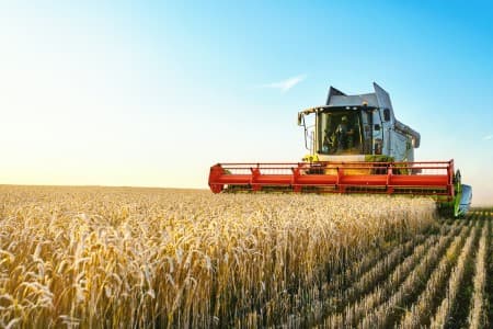 Crop-Report-India-kharif-sowing-remains-slow-down-16-37-on-year-as-of-Fri
