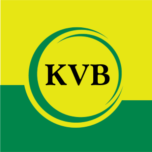 Earnings-Review-Higher-interest-income-boosts-Karur-Vysya-Bank-Q1-net-profit