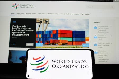Trade-Policy-WTO-members-raise-questions-about-India-s-abrupt-tariff-tweaks-export-curbs