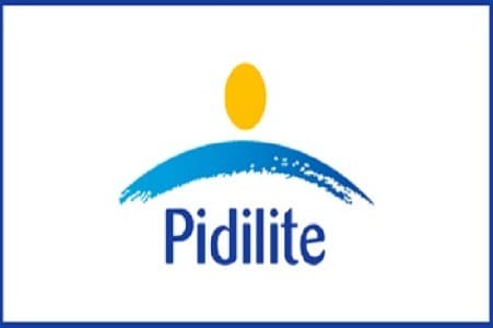 Earnings-Outlook-Pidilite-Q1-PAT-sales-seen-rising-on-demand-price-hikes