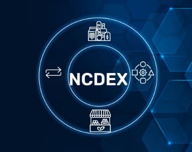 NCDEX-MD-Vikas-Goel-to-take-charge-as-MD-CEO-of-NCDEX-from-Aug-1