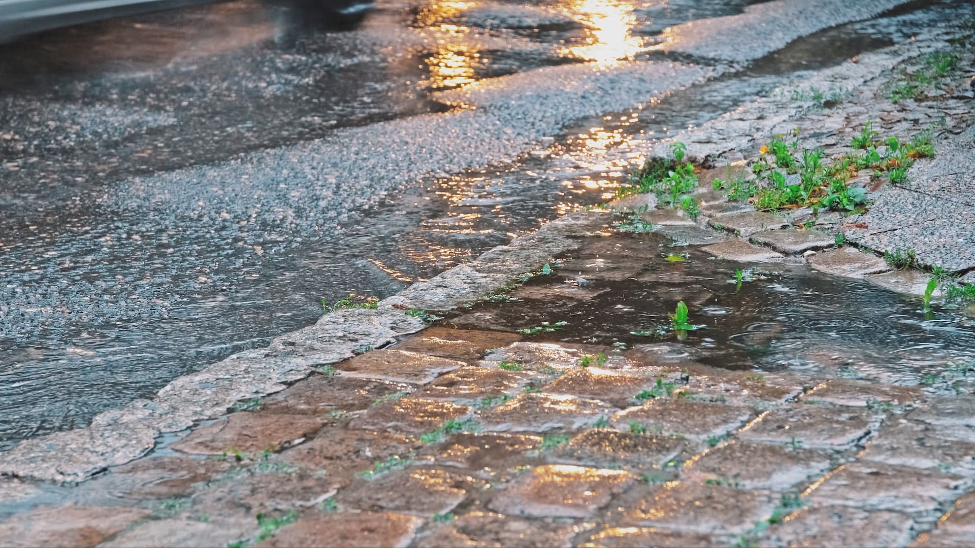 Weather-Update-India-Tue-rainfall-18-37-above-normal-season-to-date-deficit-at-13-37-says-IMD