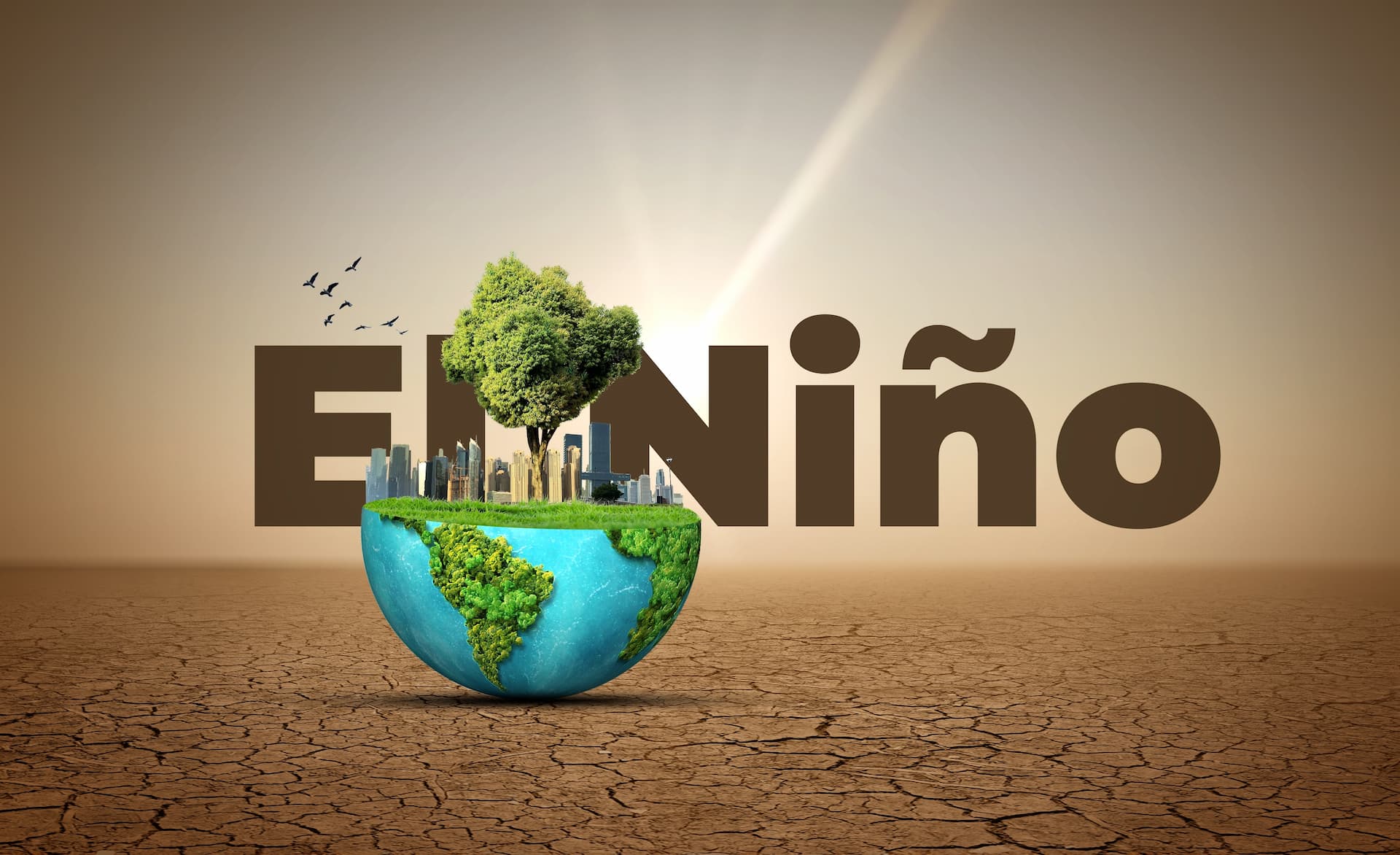 El-Nino-See-strong-El-Nino-till-Feb-India-rains-low-till-Nov-says-APEC-Climate-Center