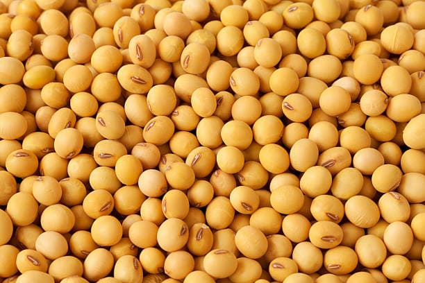 Crop-Report-India-kharif-acreage-down-1-6-37-on-year-at-108-63-million-hectares-as-of-Friday