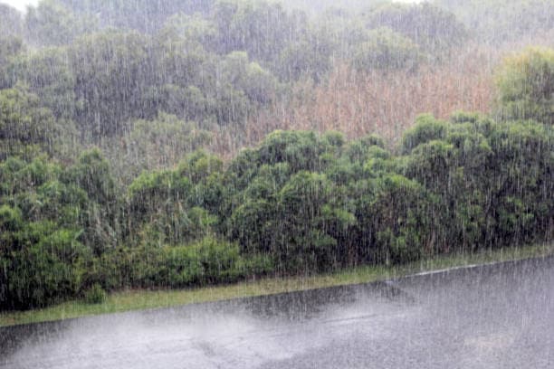 rain-forecast-Heavy-rains-over-east-northeast-India-parts-of-UP-this-week-says-IMD